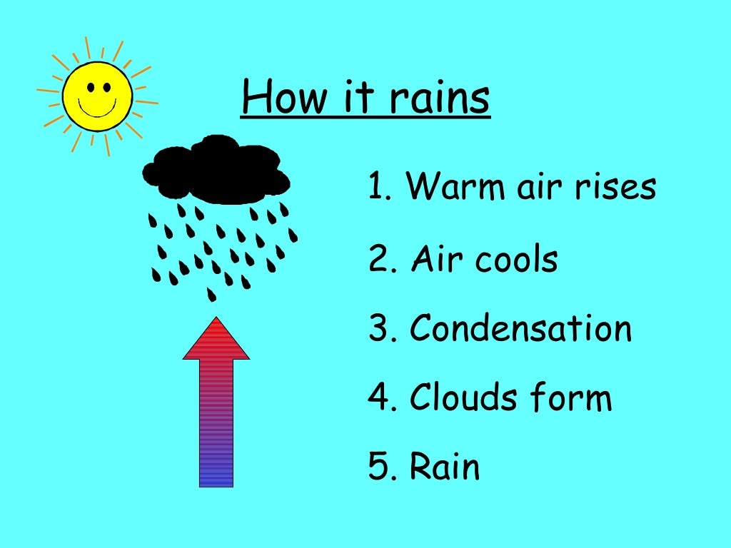 Types of Rain