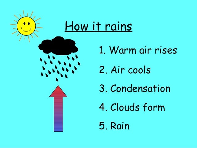 Basic Rain Rain Profile And Facts; RainโS Ideal Type โ KOAUJQ