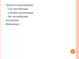 Types of Recombinase | PPTX