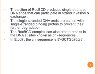 Types of Recombinase | PPTX