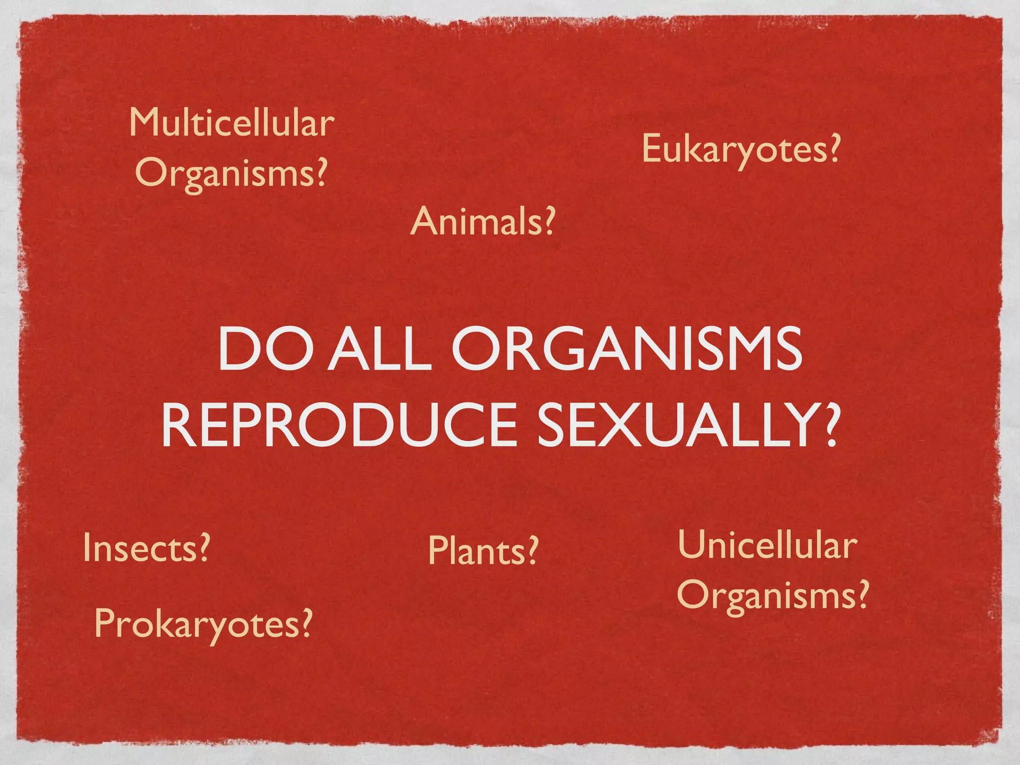 Multicellular
Organisms?
Eukaryotes?
Animals?
DO ALL ORGANISMS
REPRODUCE SEXUALLY?
Insects?
Prokaryotes?
Plants?
Unicellular
Organisms?