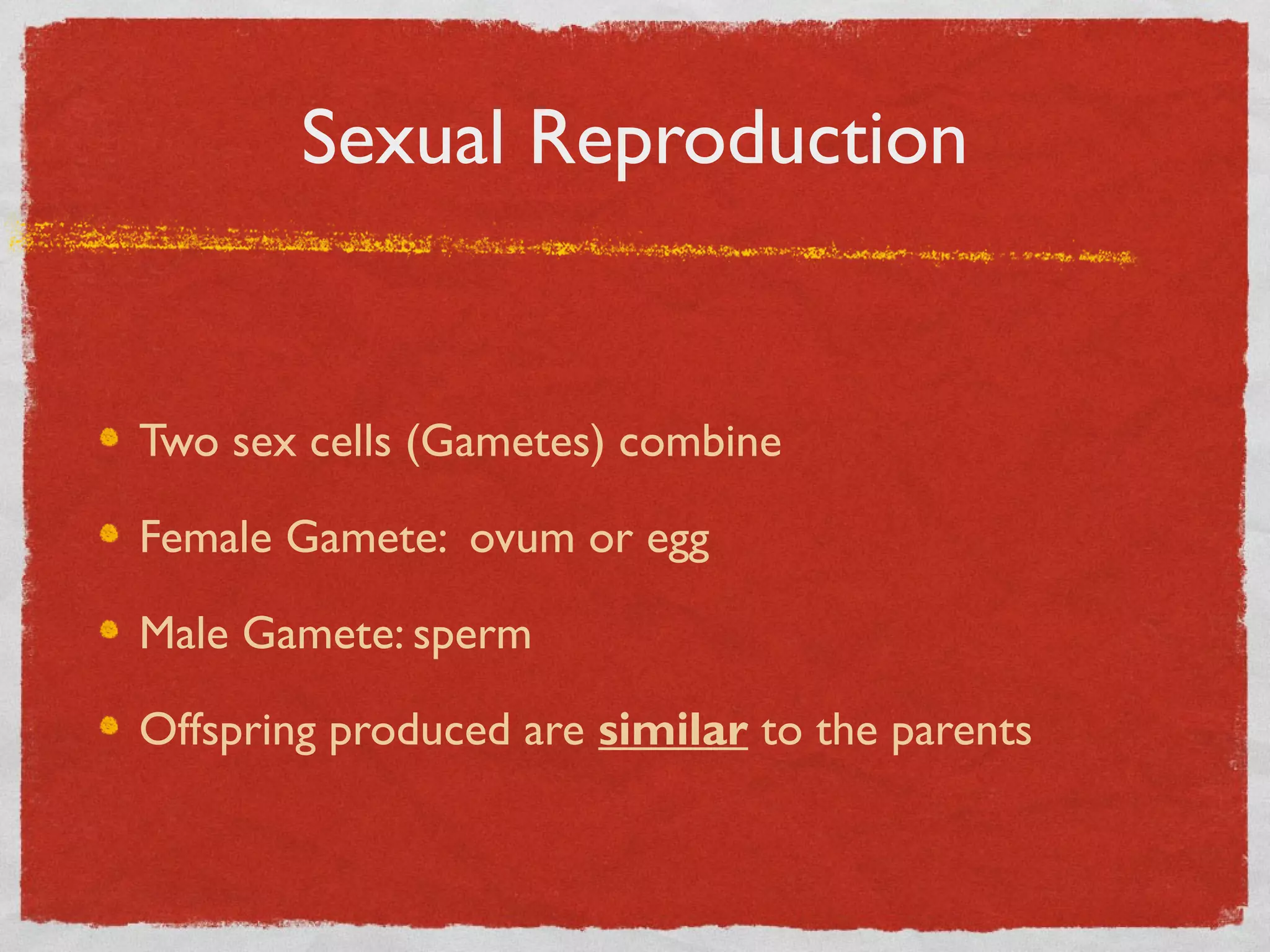 Sexual Reproduction
Two sex cells (Gametes) combine
Female Gamete: ovum or egg
Male Gamete: sperm
Offspring produced are similar to the parents