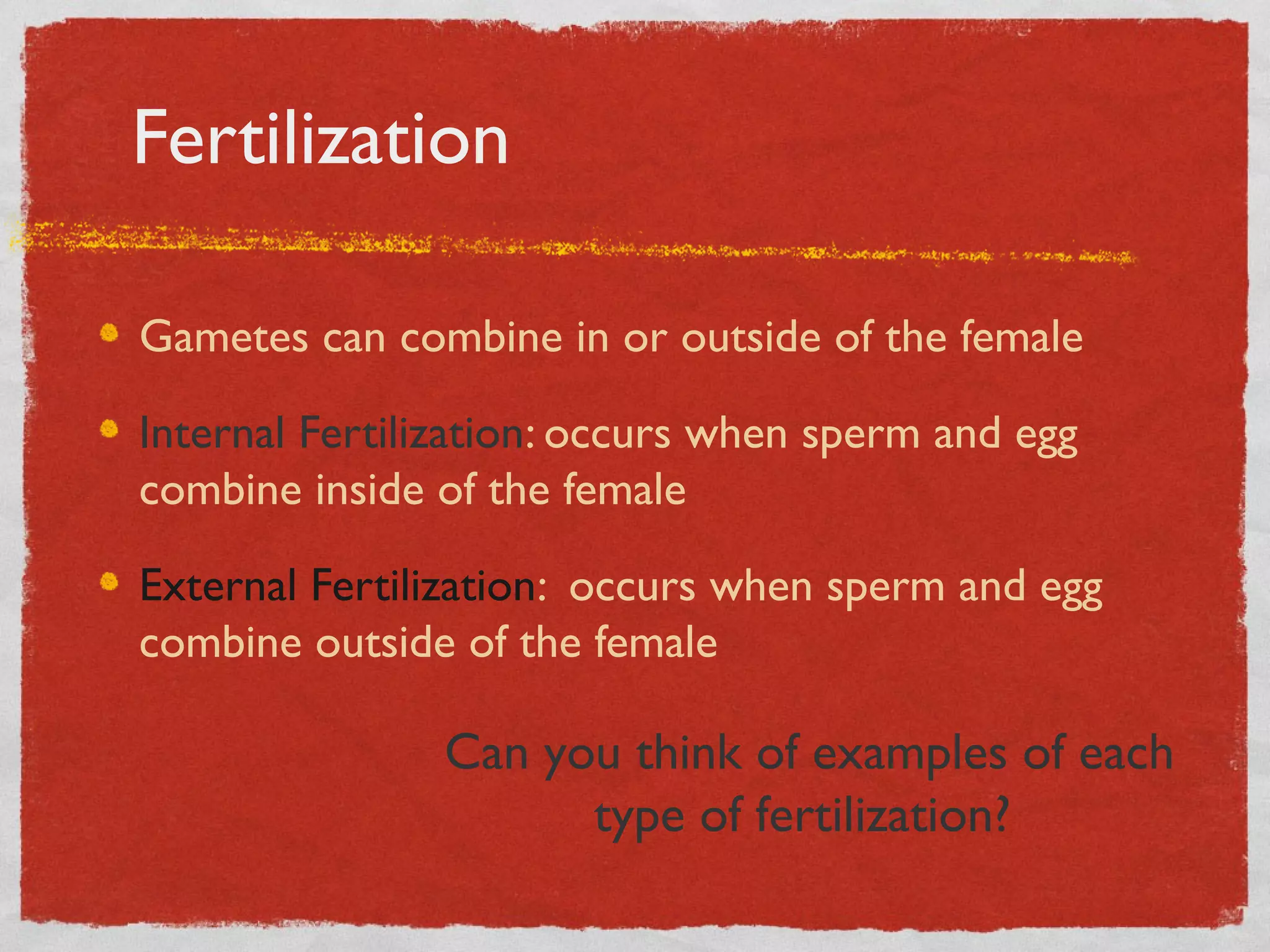 Fertilization
Gametes can combine in or outside of the female
Internal Fertilization: occurs when sperm and egg
combine inside of the female
External Fertilization: occurs when sperm and egg
combine outside of the female
Can you think of examples of each
type of fertilization?