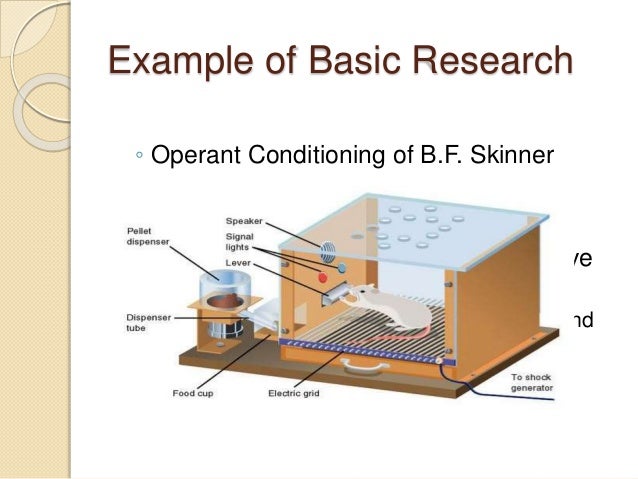 applied vs fundamental research Do you like this video check out my latest course and get 20% off unlimited learning on curious. applied vs fundamental research Do you like this video check out my latest course and get 20% off unlimited learning on curious.