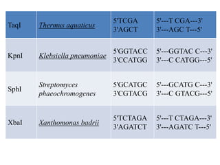 Agei Types of restriction enzymes | PPTX