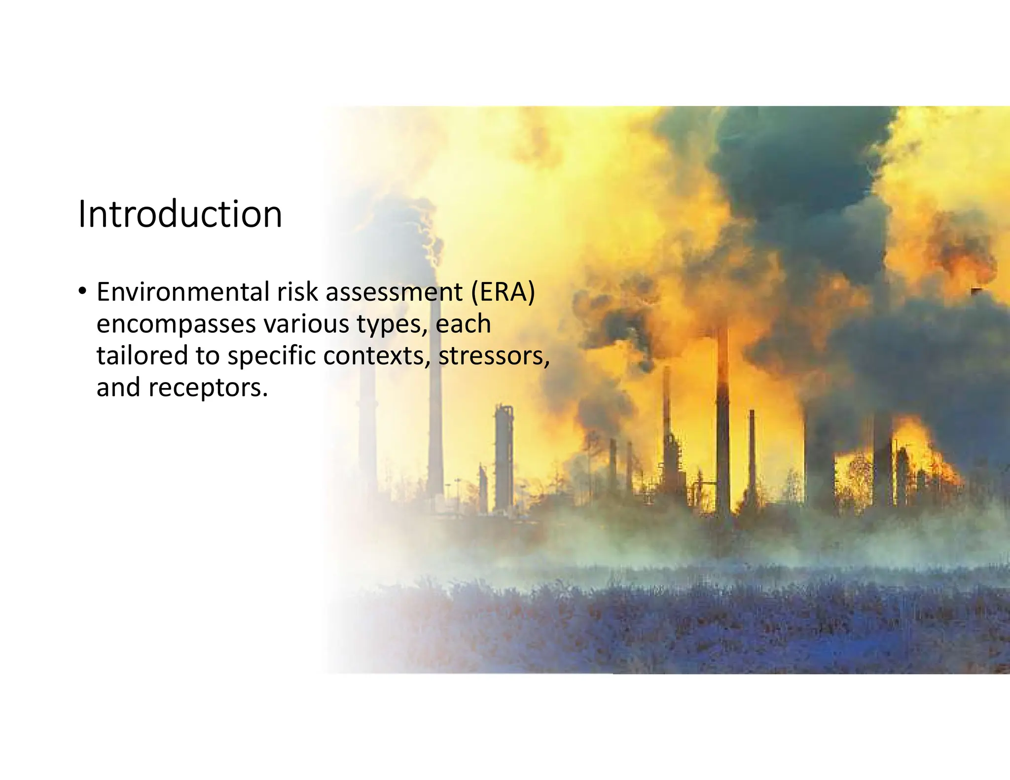 Types of Risk Assessments and Risk Management.pdf