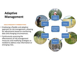 Types of Risk Assessments and Risk Management.pdf