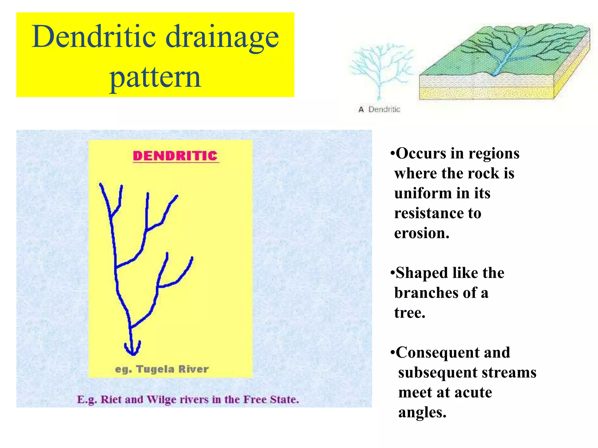 Dendritic drainage
pattern
•Occurs in regions
where the rock is
uniform in its
resistance to
erosion.
•Shaped like the
branches of a
tree.
•Consequent and
subsequent streams
meet at acute
angles.
 