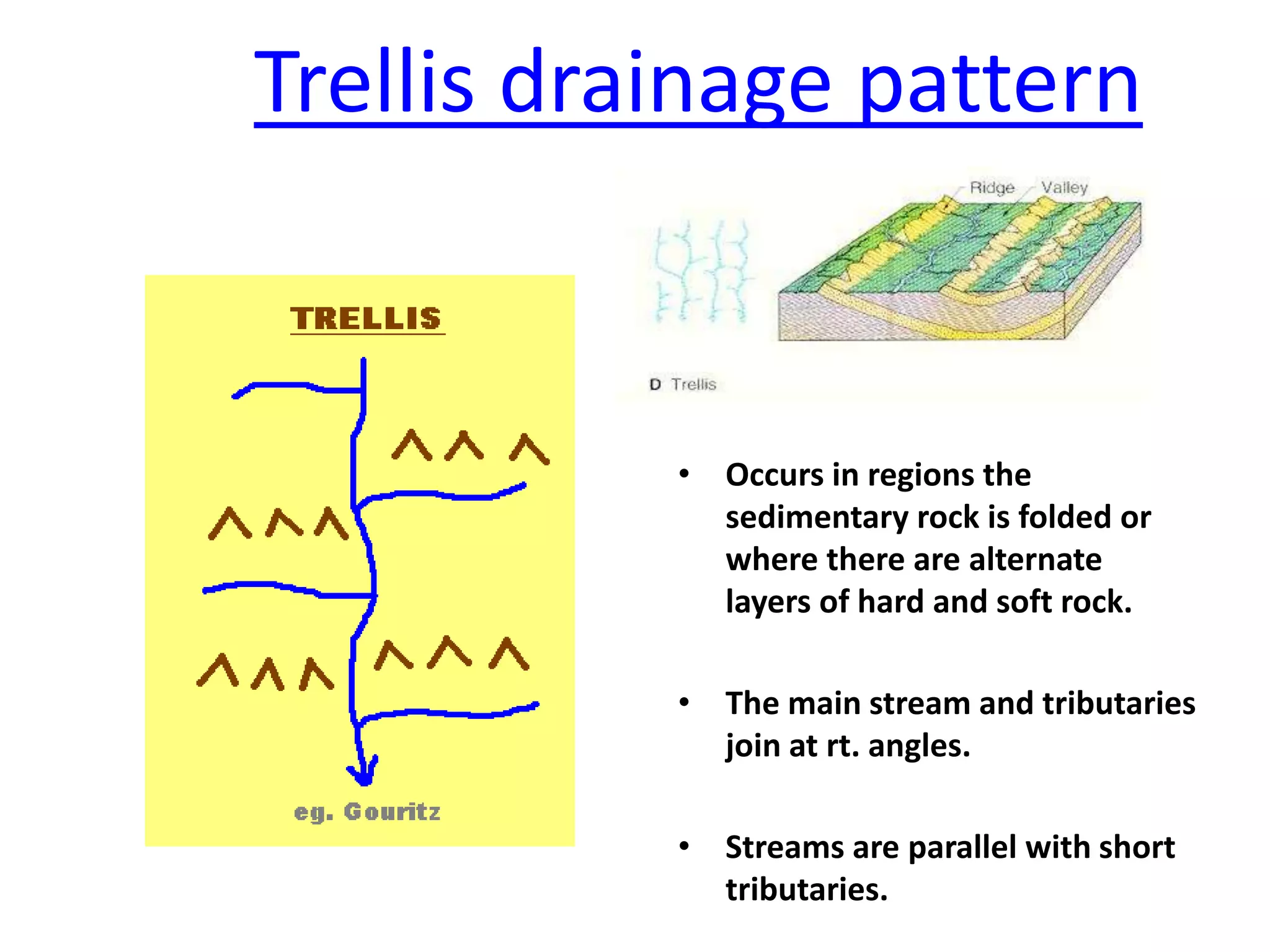 Trellis drainage pattern
• Occurs in regions the
sedimentary rock is folded or
where there are alternate
layers of hard and soft rock.
• The main stream and tributaries
join at rt. angles.
• Streams are parallel with short
tributaries.
 