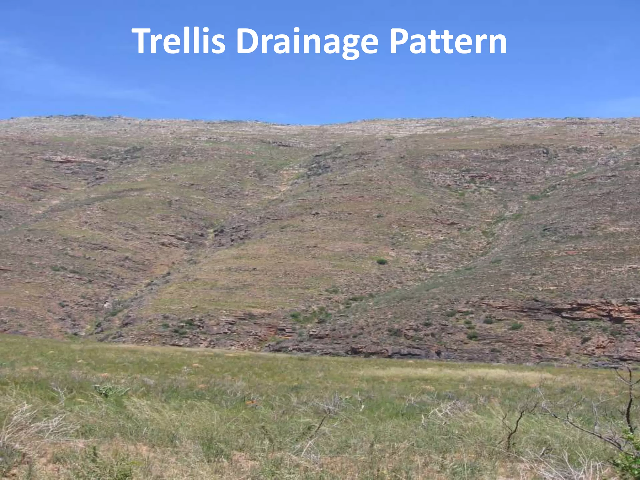 Trellis Drainage Pattern
 