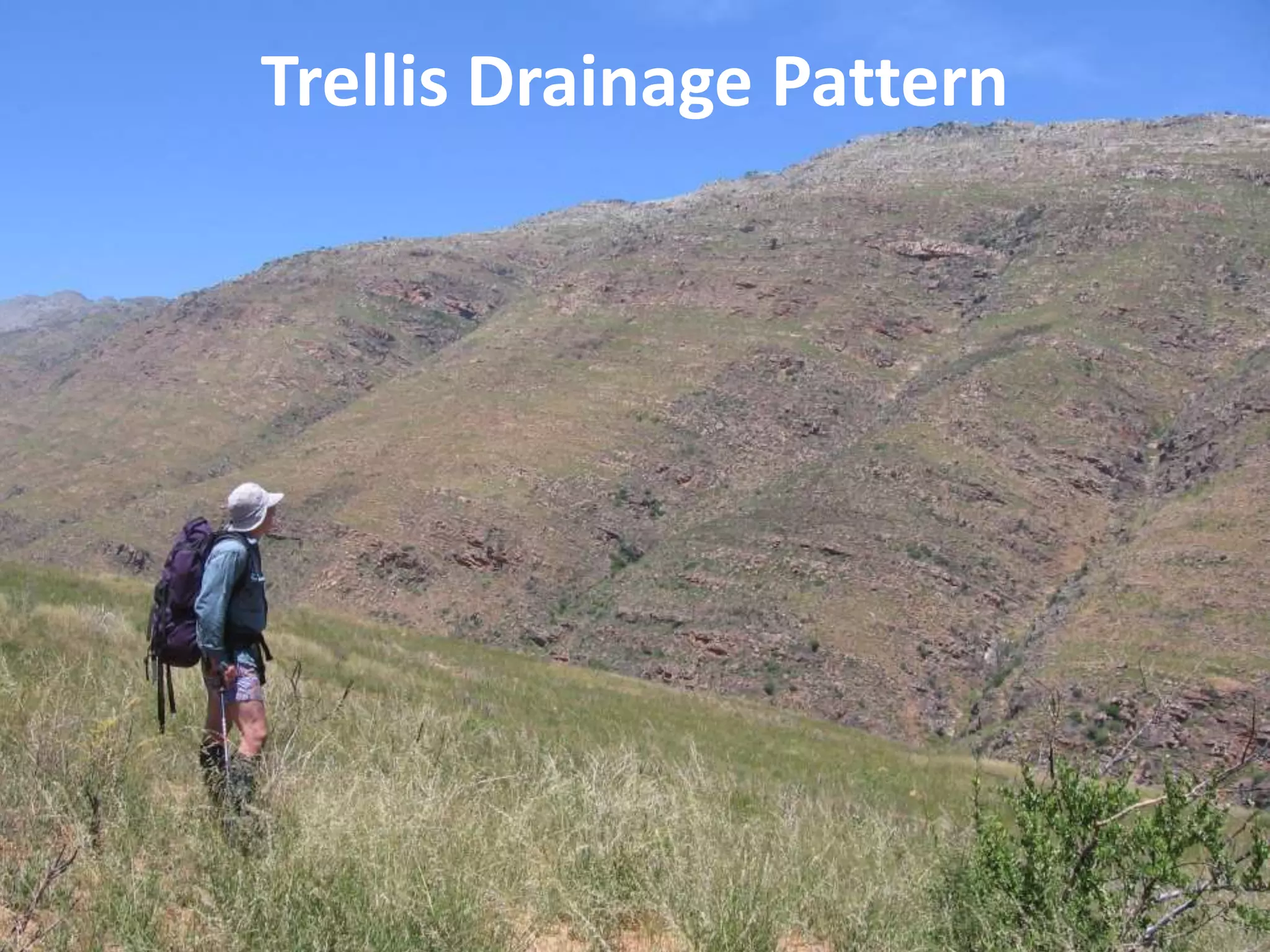 Trellis Drainage Pattern
 