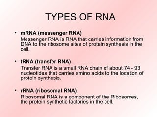 Types of rna | PPT