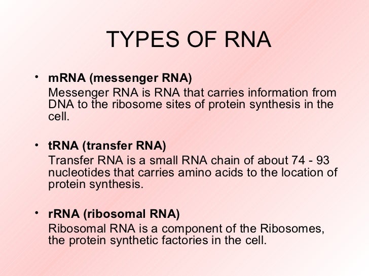 n type form 1 function rna of Types