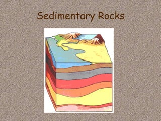 Sedimentary Rocks 