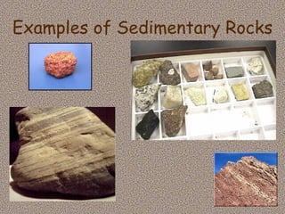 Examples of Sedimentary Rocks 