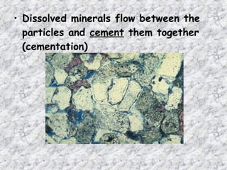 • Dissolved minerals flow between the
particles and cement them together
(cementation)
 