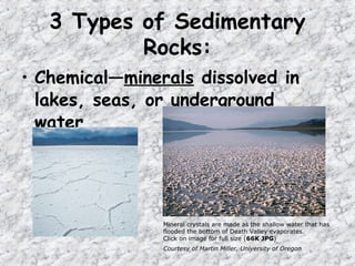 • Chemical—minerals dissolved in
lakes, seas, or underground
water
3 Types of Sedimentary
Rocks:
Mineral crystals are made as the shallow water that has
flooded the bottom of Death Valley evaporates.
Click on image for full size (66K JPG)
Courtesy of Martin Miller, University of Oregon
 