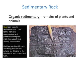 Sedimentary Rock
Organic sedimentary – remains of plants and
animals
Coal is an organic
sedimentary rock that
forms from the
accumulation and
preservation of plant
materials, usually in a
swamp environment.
Coal is a combustible rock
and along with oil and
natural gas it is one of the
three most important fossil
fuels.
 