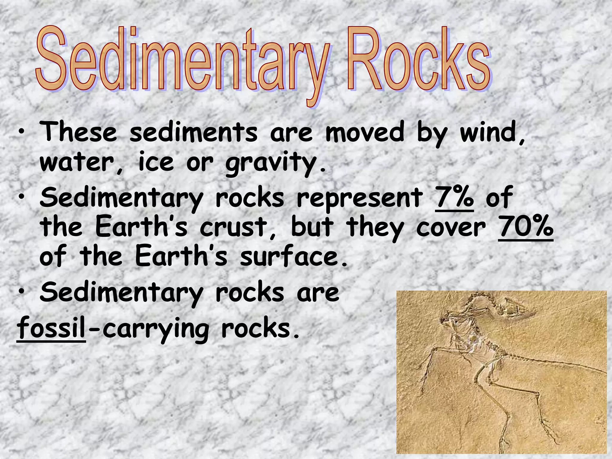 • These sediments are moved by wind,
water, ice or gravity.
• Sedimentary rocks represent 7% of
the Earth’s crust, but they cover 70%
of the Earth’s surface.
• Sedimentary rocks are
fossil-carrying rocks.
 