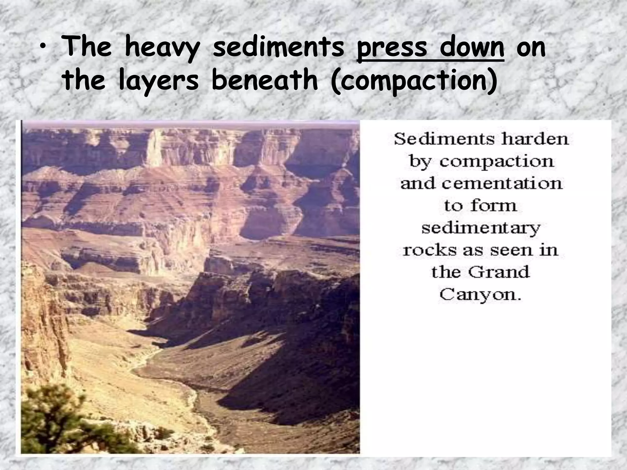 • The heavy sediments press down on
the layers beneath (compaction)
 