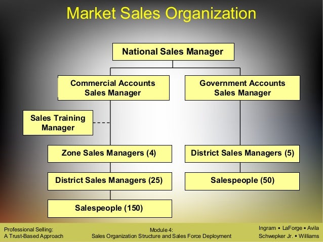 sales organisation chart