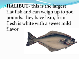HALIBUT- this is the largest
flat fish and can weigh up to 300
pounds. they have lean, firm
flesh is white with a sweet mild
flavor
 