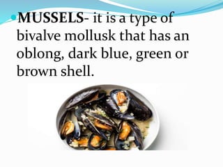 MUSSELS- it is a type of
bivalve mollusk that has an
oblong, dark blue, green or
brown shell.
 