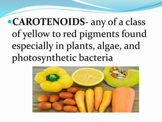 CAROTENOIDS- any of a class
of yellow to red pigments found
especially in plants, algae, and
photosynthetic bacteria
 
