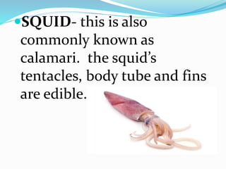 SQUID- this is also
commonly known as
calamari. the squid’s
tentacles, body tube and fins
are edible.
 