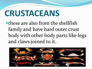 CRUSTACEANS
these are also from the shellfish
family and have hard outer crust
body with other body parts like legs
and claws joined to it.
 