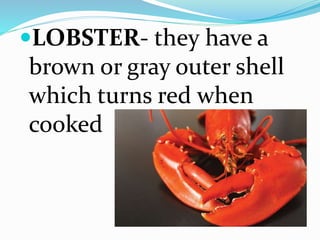 LOBSTER- they have a
brown or gray outer shell
which turns red when
cooked
 
