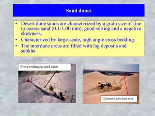 Sand dunes
• Desert dune sands are characterized by a grain size of fine
to coarse sand (0.1-1.00 mm), good sorting and a negative
skewness.
• Characterized by large-scale, high angle cross bedding.
• The interdune areas are filled with lag deposits and
sabkha.
 