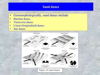 Sand dunes
• Geomorphologically, sand dunes include
• Barchan dunes.
• Transverse dunes.
• Linear (longitudinal) dunes.
• Star dunes.
 