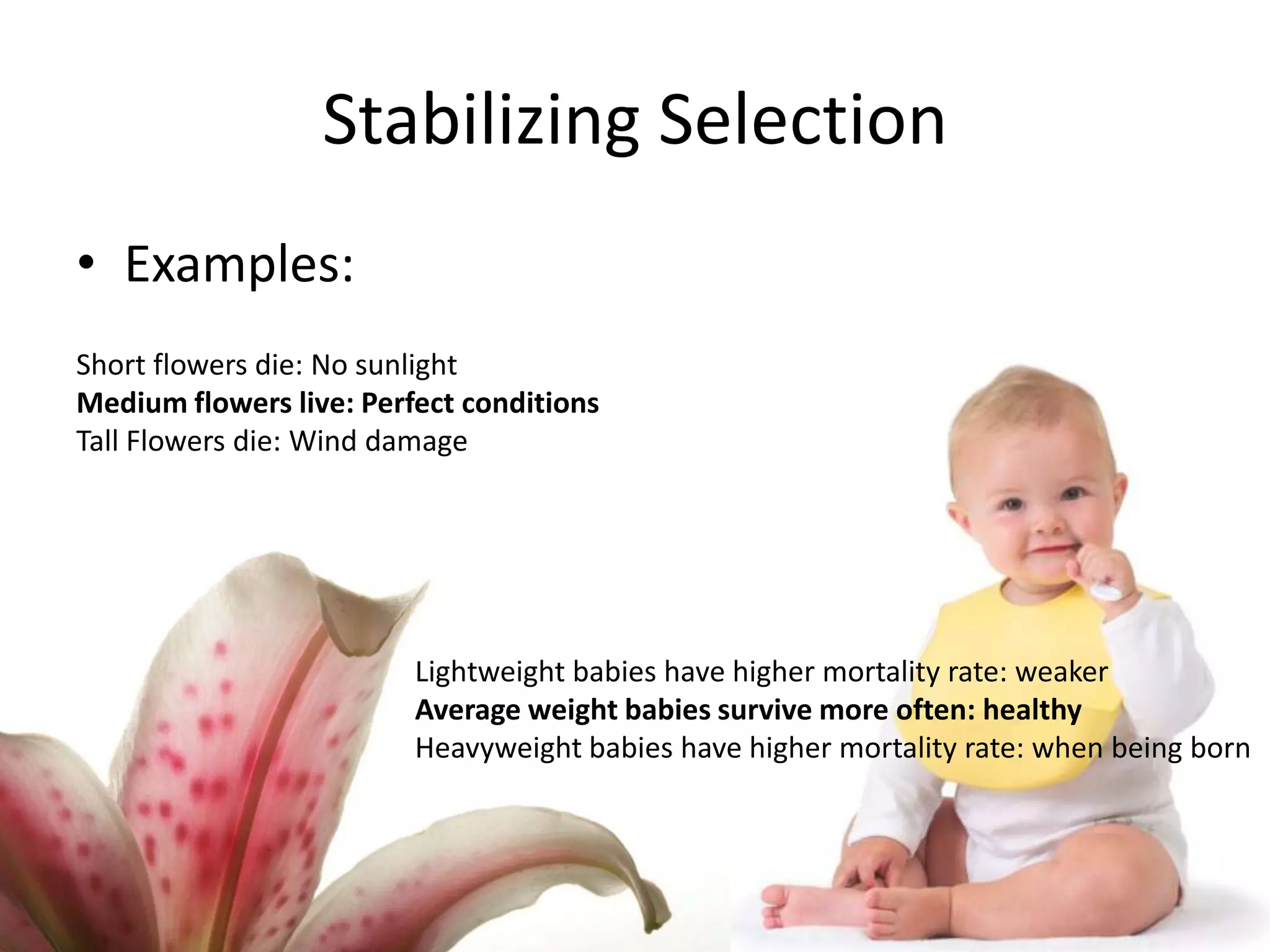 Types of selection | PPTX