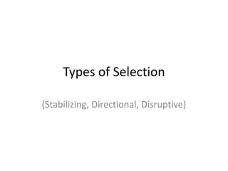 Types of Selection (Stabilizing, Directional, Disruptive) 