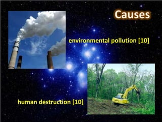 environmental pollution [10]




human destruction [10]
 