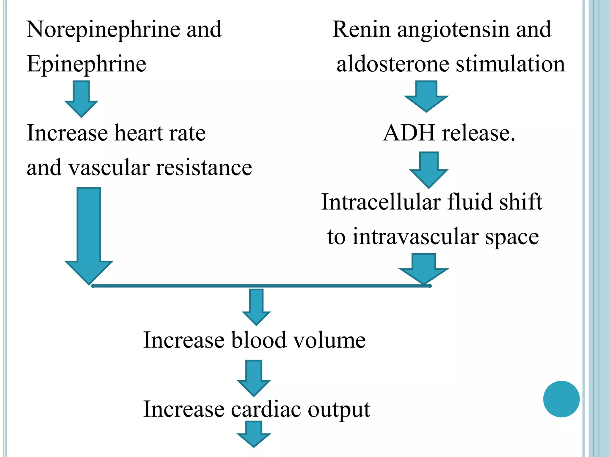 Norepinephrine and Renin angiotensin and
Epinephrine aldosterone stimulation
Increase heart rate ADH release.
and vascular resistance
Intracellular fluid shift
to intravascular space
Increase blood volume
Increase cardiac output
 