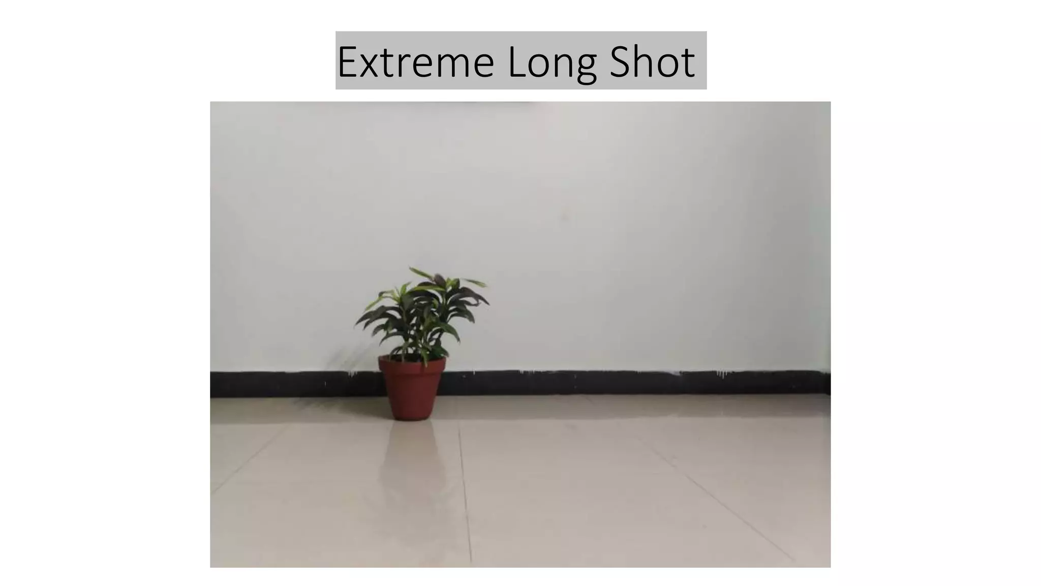 Extreme Long Shot