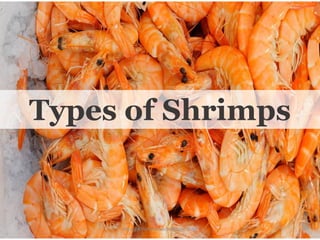 Types of Shrimps
https://chefqtrainer.blogspot.com/
 