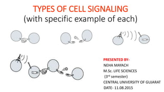 TYPES OF CELL SIGNALING
(with specific example of each)
PRESENTED BY-
NEHA MAYACH
M.Sc. LIFE SCIENCES
(3rd semester)
CENTRAL UNIVERSITY OF GUJARAT
DATE- 11.08.2015
 