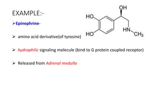 EXAMPLE:-
Epinephrine-
 amino acid derivative(of tyrosine)
 hydrophilic signaling molecule (bind to G protein coupled receptor)
 Released from Adrenal medulla
 