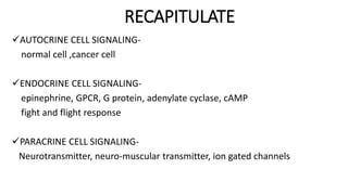 RECAPITULATE
AUTOCRINE CELL SIGNALING-
normal cell ,cancer cell
ENDOCRINE CELL SIGNALING-
epinephrine, GPCR, G protein, adenylate cyclase, cAMP
fight and flight response
PARACRINE CELL SIGNALING-
Neurotransmitter, neuro-muscular transmitter, ion gated channels
 