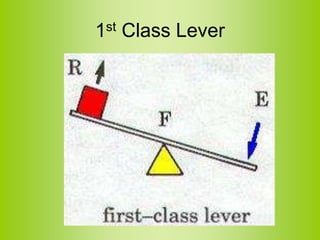1st Class Lever
 
