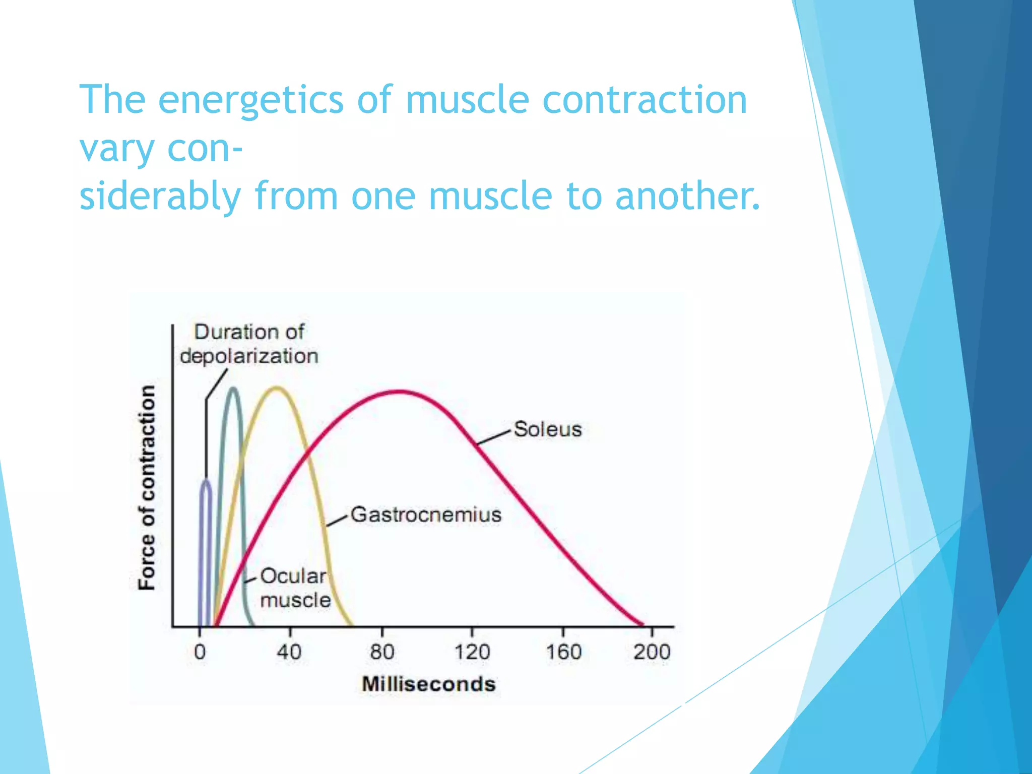 The Secret To Maximum Muscle Gains: Understanding Isometric & Isotonic - 4v97vbn