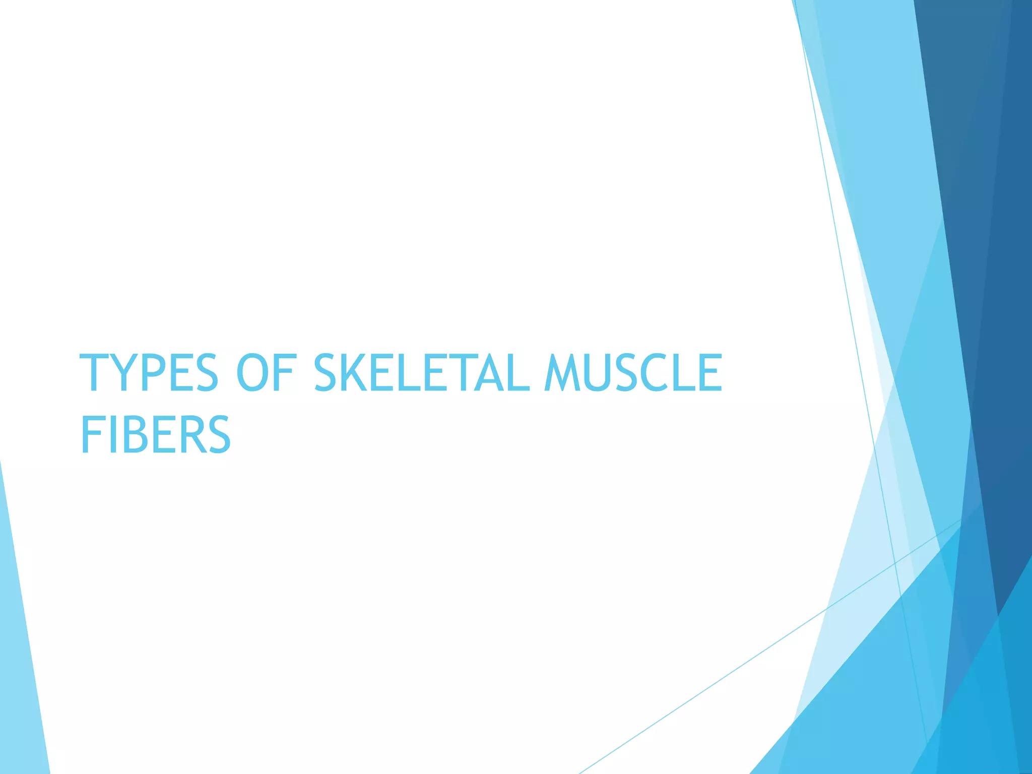 The Secret To Maximum Muscle Gains: Understanding Isometric & Isotonic - zctj5me