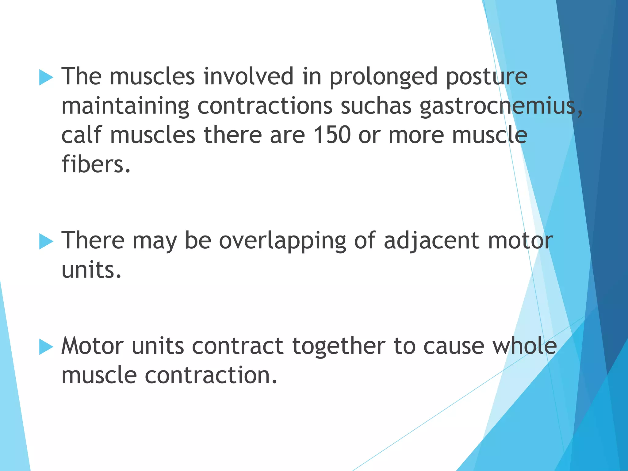 The Secret To Maximum Muscle Gains: Understanding Isometric & Isotonic - sztus12