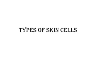 Types of skin cells 