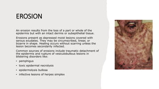 Clinical Classification of Skin Lesions: A Morphological Approach in ...