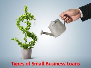 Types of Small Business Loans
 