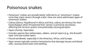 Photo inspiration: Visual Reference: Types Of Snakes And Venom Details Explained